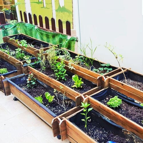 Cuidamos nuestras plantas.