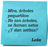 -Mira, árboles pequeñitos.-No son árboles se llaman setas.-¿Y dan setiras?Lola