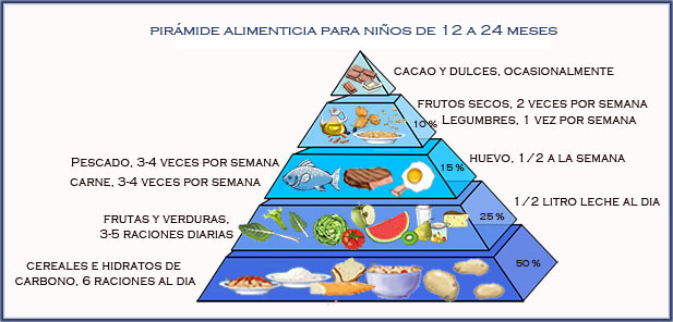 Pirámide alimenticia para niños de 12 a 24 meses